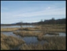 Deepwater Slough