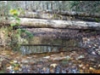 Ennis Creek