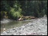 Finney Creek