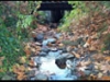 N.P. Creek