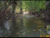 Thunder Creek