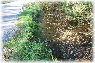 Ennis Creek Ennis Creek