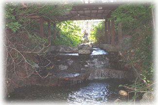 N.P. Creek N.P. Creek