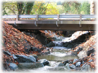 N.P. Creek N.P. Creek
