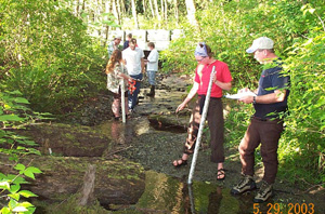 In Stream Monitoring In Stream Monitoring