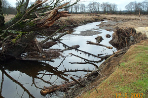 In Stream Monitoring 2 In Stream Monitoring