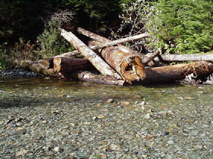 In Stream Monitoring 4 In Stream Monitoring
