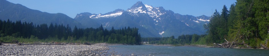 IMGP5105