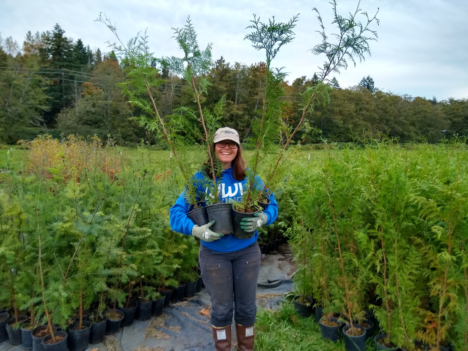 Native Plant Nursery Skagit Fisheries Enhancement Group